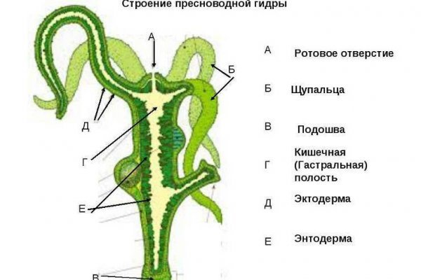 Официальный сайт кракен тор