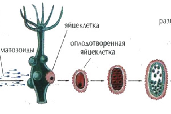 Кракен store